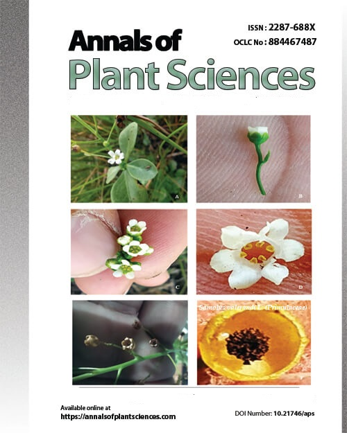Journal Homepage Image